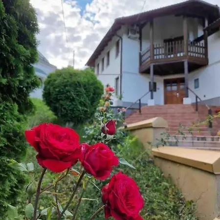 Luxurious 350 M With 4 Bedrooms Sarajevo