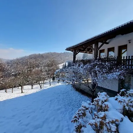 Villa Luxurious 350 M With 4 Bedrooms Sarajevo